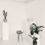 秋葉原プレミアムマンション 画像5